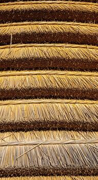 Close up view of a thatched roof with horizontal layers of dried straw creating a textured warm and natural surface pattern photo