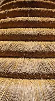 Close up view of a textured thatched roof made of dry straw creating a rustic and natural building material pattern photo