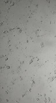 Abstract textured background with subtle gray and white patterns resembling distressed concrete or aged paper photo