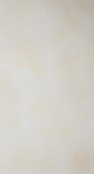 Abstract textured background with subtle color variations and a soft diffused light creating a calming and serene atmosphere photo