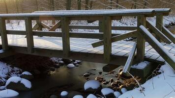 tyst snöfall scen terar en rustik trä- bro över en mild ström i en fredlig skog, idealisk för natur videoklipp och lugnande innehåll video