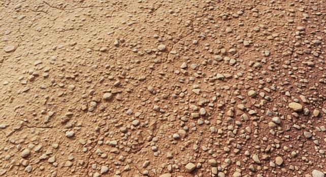Close up view of dry sandy soil with small scattered pebbles and rocks creating a textured surface photo