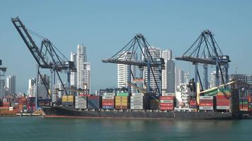 en stor behållare fartyg dockad på en hamn med lång byggnader i de bakgrund video