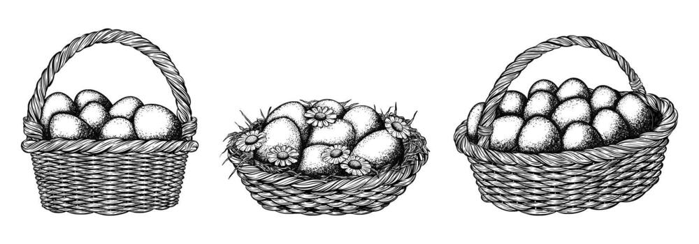 Set of wicker basket with straw, eggs and chamomile flowers. Black ink isolated illustration in sketch line style vector