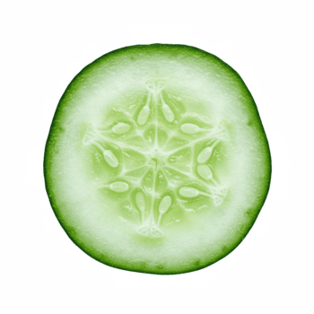 makro studio skott av en genomskinlig grön gurka skiva visa upp dess inre strukturera och frön png