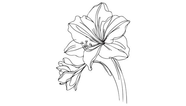 a drawing continuous of a flower on a white background vector