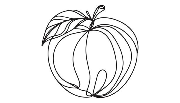continuous line drawing of an mango vector
