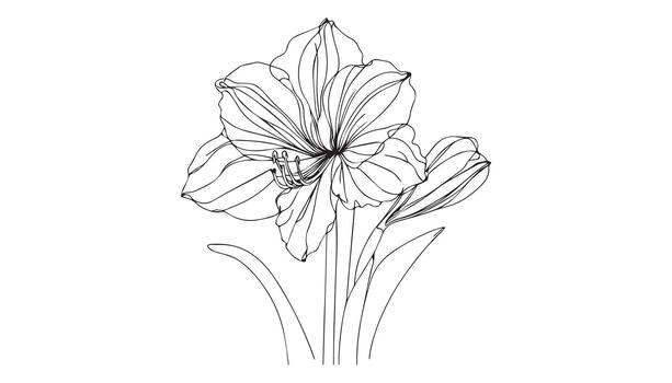 a continuous line of a flower with a stem vector