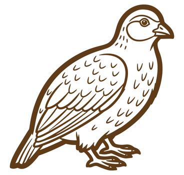 Simple brown outline drawing of a quail in a standing pose on a white background vector
