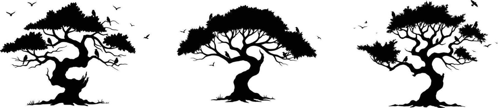 Set of Ancient Twisted Tree Silhouettes with Birds vector