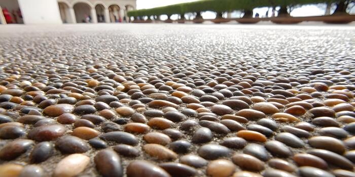 A close up view from ground level shows numerous rounded pebbles forming a textured path in a sunny outdoor setting photo