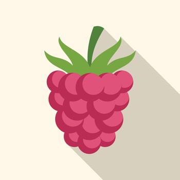 Raspberry fruit icon flat design long shadow vector