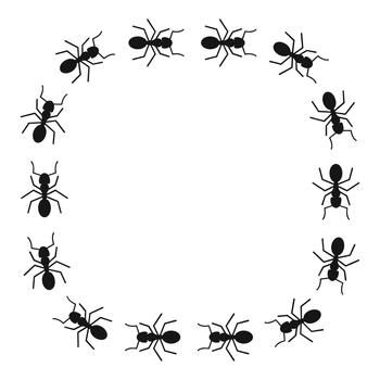hormigas formando un circular frontera marco alrededor Copiar espacio vector