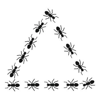 Ants forming triangle shape symbolizing teamwork and cooperation vector