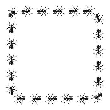 Ant colony forming square border on white background vector