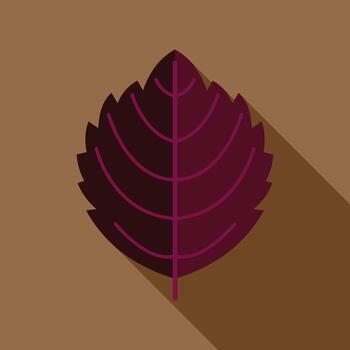 otoño hoja icono en plano diseño estilo con largo sombra vector