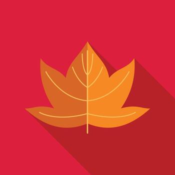 A flat icon of a maple leaf on a red background vector