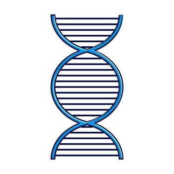 adn doble hélice estructura genética y Ciencias vector