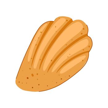 Madeleine cookie presenting classic shell shape and golden texture vector