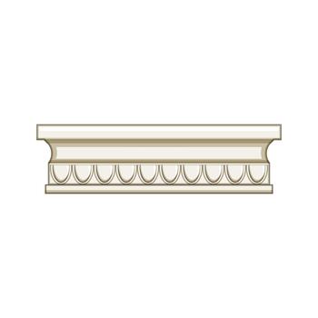 Decorative architectural molding with classical shell pattern illustration vector