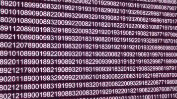 binario código aleatorio número animación aislado en negro antecedentes video
