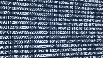 fluindo binário código e digital números animação isolado em Preto fundo video