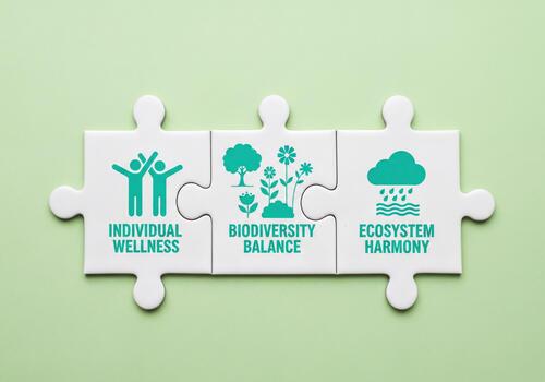 Holistic approach to well-being and environmental health depicted by interconnected puzzle pieces photo