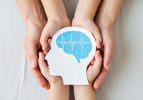 Adult and Child Hands Protecting Paper Brain Cutout with Brainwave Pattern photo