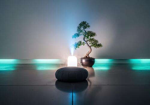 Serene Indoor Zen Setting with Bonsai Tree, Essential Oil Diffuser, and Meditation Cushion photo