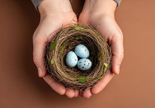 Hands Gently Holding a Bird's Nest with Three Blue Speckled Eggs, Symbolizing Care and New Life photo
