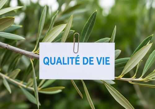Quality of Life text on note attached to olive branch symbolizing well-being and nature photo