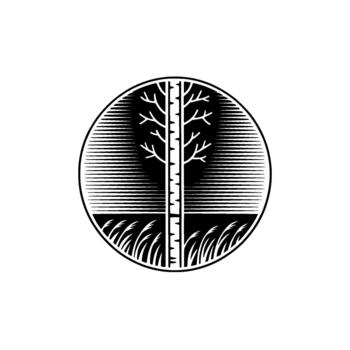 A minimalist illustration of a stylized birch tree with horizontal lines representing growth within a circular emblem featuring blades of grass at the base vector