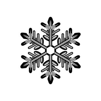 A precise monochrome illustration of a sixpointed snowflake with intricate branching patterns and a central hexagonal shape vector