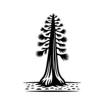 Stylized silhouette illustration of a tall towering redwood tree with layered branches and a wide base standing vector