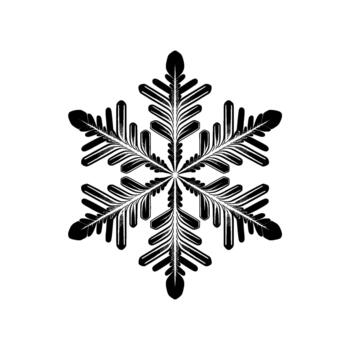 A stylized symmetrical snowflake with intricate fractal branching patterns vector