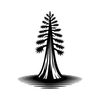 silhouette of a majestic Sequoia tree with layered branches and a stylized striped ground effect isolated vector