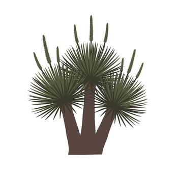 Stylized flat illustration of a joshua tree, capturing its unique spiky foliage and distinctive branching form for desert designs. vector