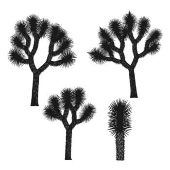 Collection of four black silhouettes of Joshua trees, capturing the unique and iconic shape of the desert yucca brevifolia plant. vector