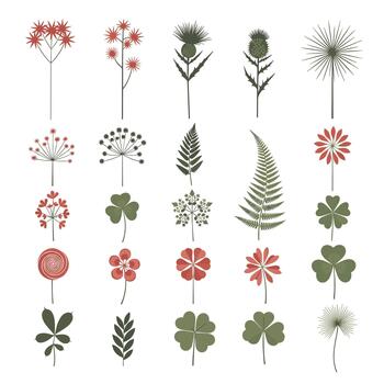 Comprehensive collection of various stylized wildflowers, ferns, and clover leaves, perfect for creating unique botanical arrangements. vector