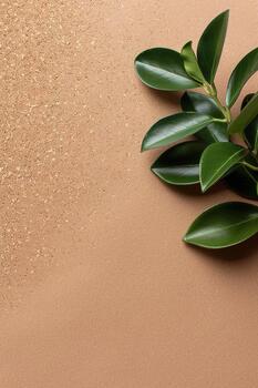 A small green plant rests on a cork surface, blending with the warm tones of the textured background. The natural elements create a calming and serene atmosphere, highlighting simplicity photo