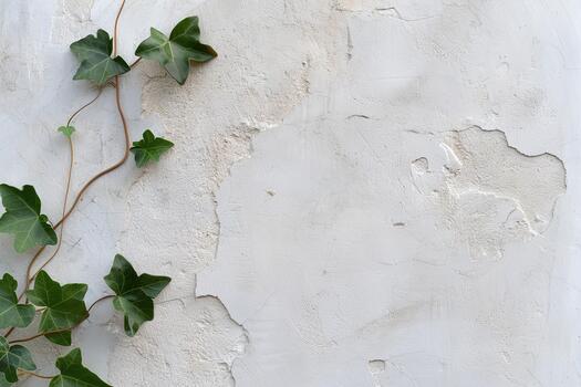 un vibrante verde vino sube un texturizado blanco muro, agregando vida a el de lo contrario vacío espacio. el pared muestra señales de vestir con parches y áspero textura, mejorando sus personaje foto