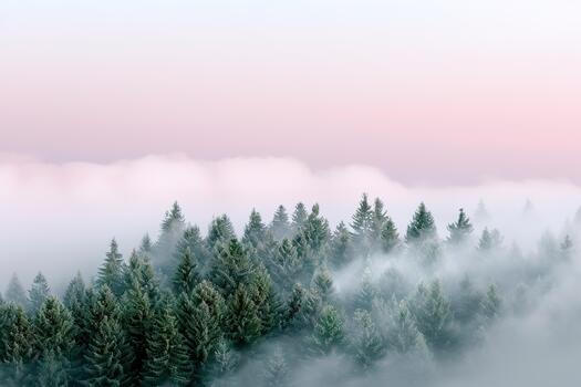 Dawn breaks over a serene evergreen forest clearing, with tall trees rising through soft fog. A wide-open sky above enhances the tranquil atmosphere, inviting reflection and calmness photo