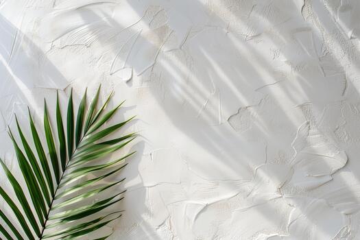Sunlight filters through palm frond leaves, creating beautiful patterns on a textured white wall, enhancing the serene atmosphere in the setting photo