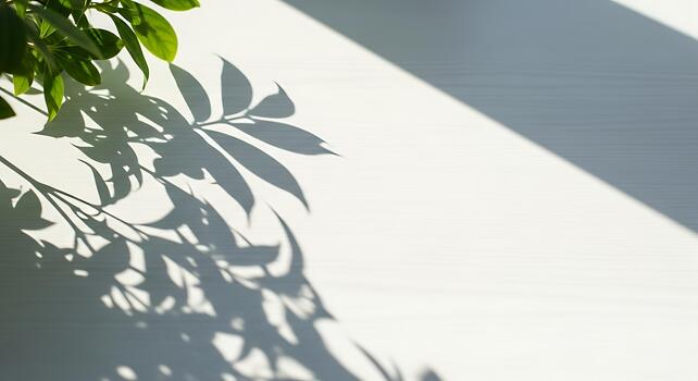 Sunlight and shadow cast by green leaves on a white wooden surface, creating a natural and serene backdrop with ample copy space photo
