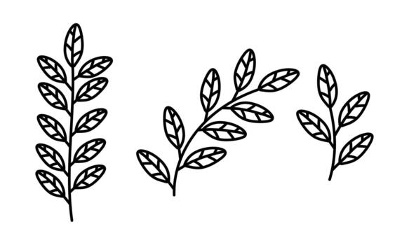 set of botanical branches with leaves hand-drawn in black. Botanical elements in Minimalist style for creating seasonal greeting cards, logos, patterns, tags, frames, labels, decorative drawings vector
