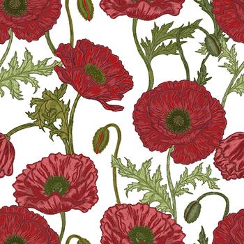 sin costura modelo con rojo amapolas en blanco antecedentes vector