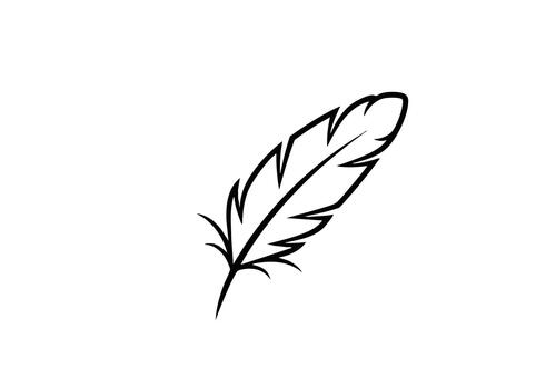 Minimalist feather line art for elegant designs and creative projects, offering a touch of lightness and inspiration to any visual concept you can think of vector