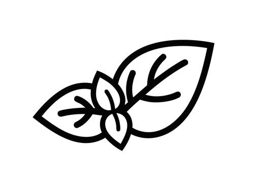 Elegant basil leaf outline for modern culinary designs, adding a fresh, natural touch to menus and recipe illustrations for food lovers everywhere vector