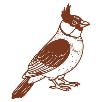 Elegant illustration of a crested bird standing tall with detailed feathers and striking brown color palette on white background vector