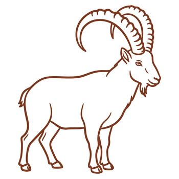 Elegant Line Drawing of an Ibex with Intricate Horns on a White Background vector
